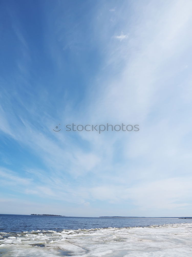 Seagulls circle over groynes at the Baltic Sea beach