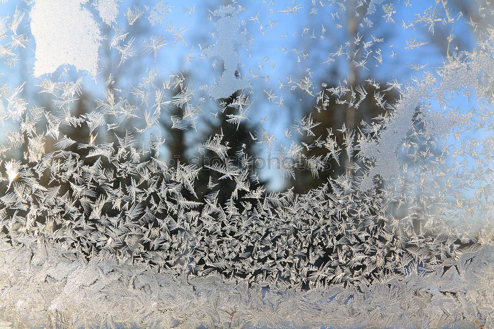 Ice Crystal Cold Winter