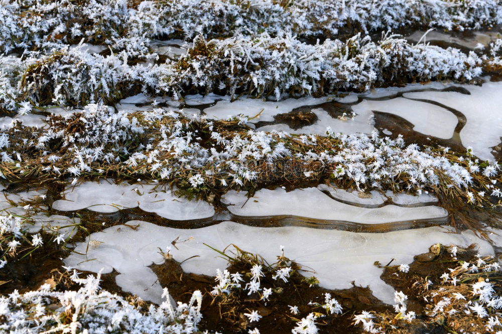 Similar – tracks Agriculture