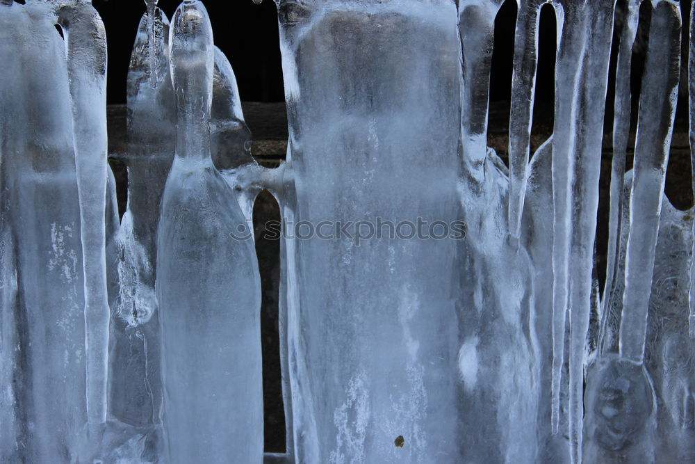 Similar – Image, Stock Photo frost magic Lake Brook Bog