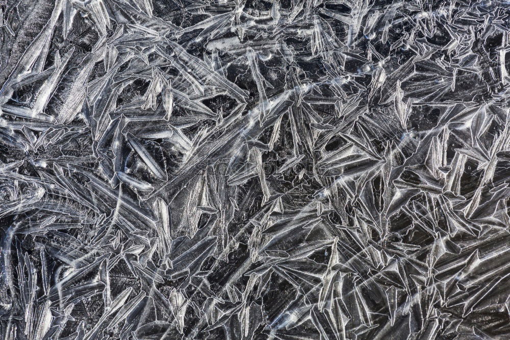 Similar – Image, Stock Photo frost magic Lake Brook Bog