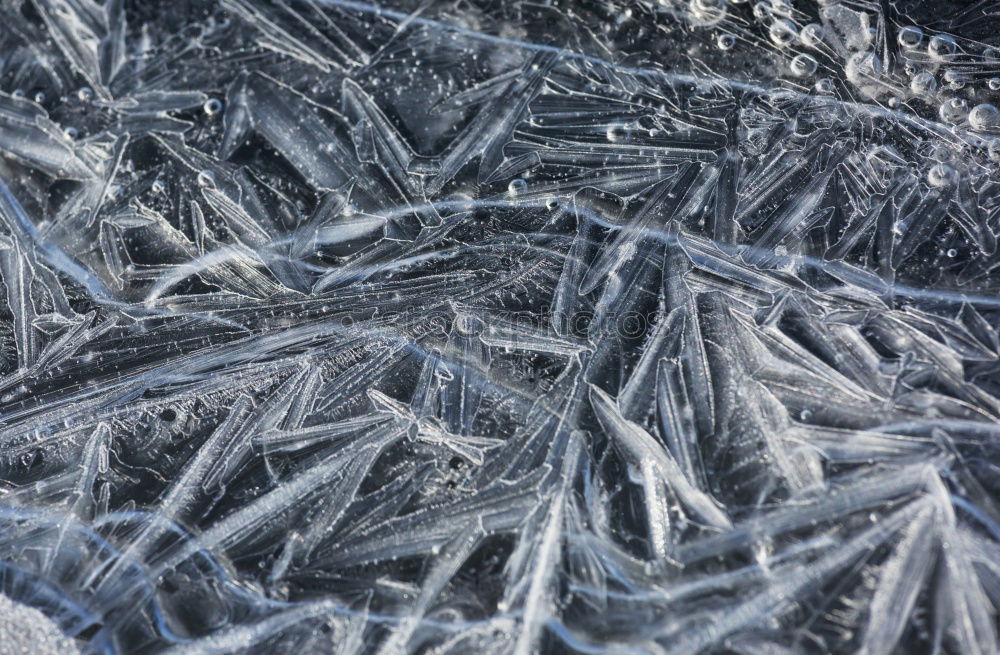 Image, Stock Photo frost magic Lake Brook Bog