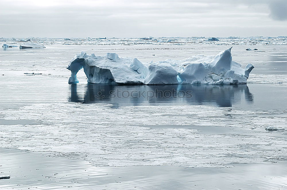 Similar – Whale swimming icy ocean