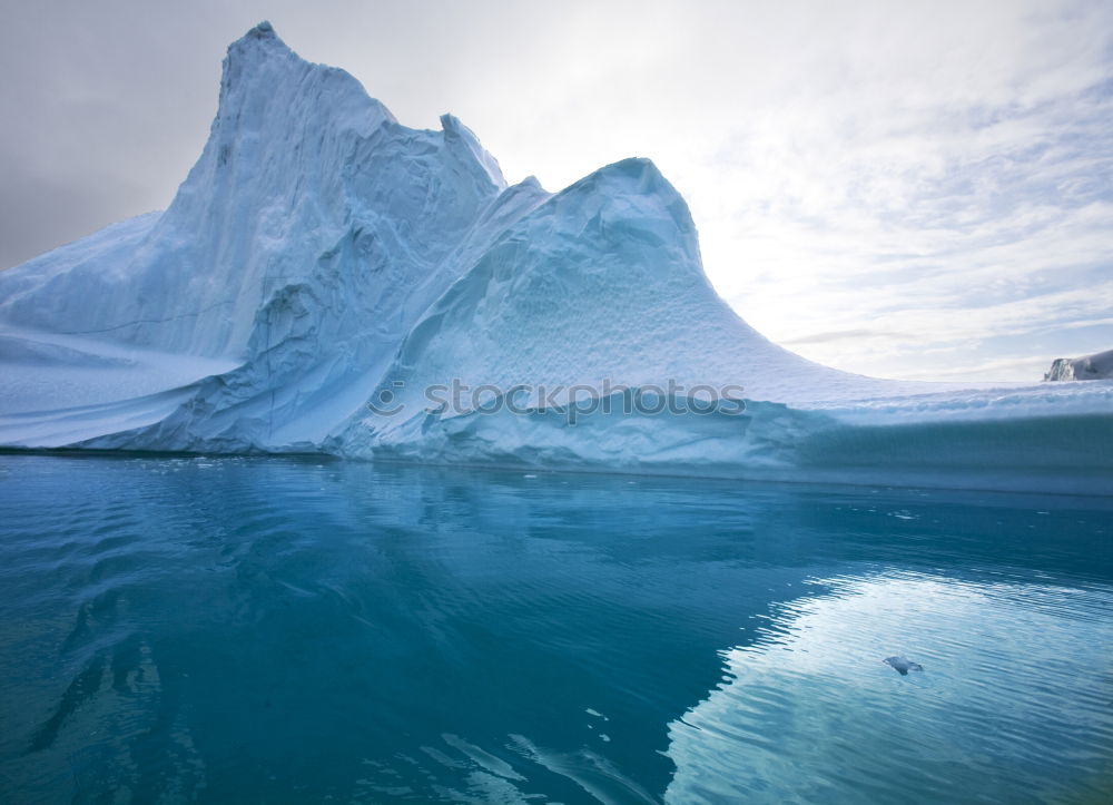 cool water Environment