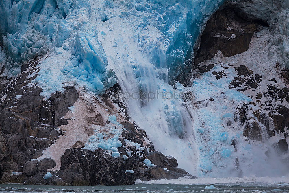 Similar – Arctic penguins in Wild Nature Landscape