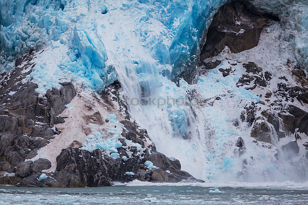 Similar – Arctic penguins in Wild Nature Landscape