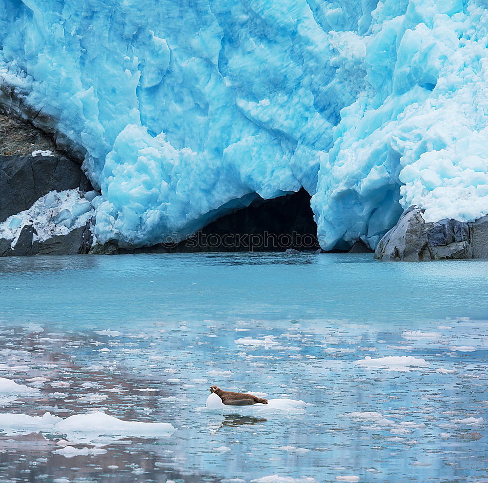 Image, Stock Photo Perito Moreno Glacier