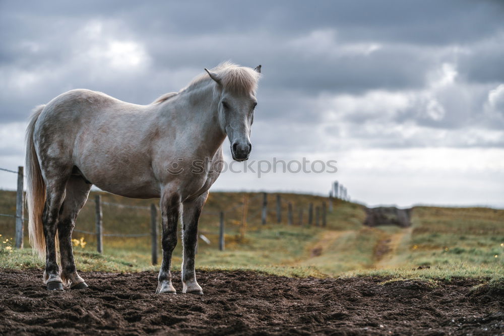 Similar – Image, Stock Photo Moldy Environment Nature