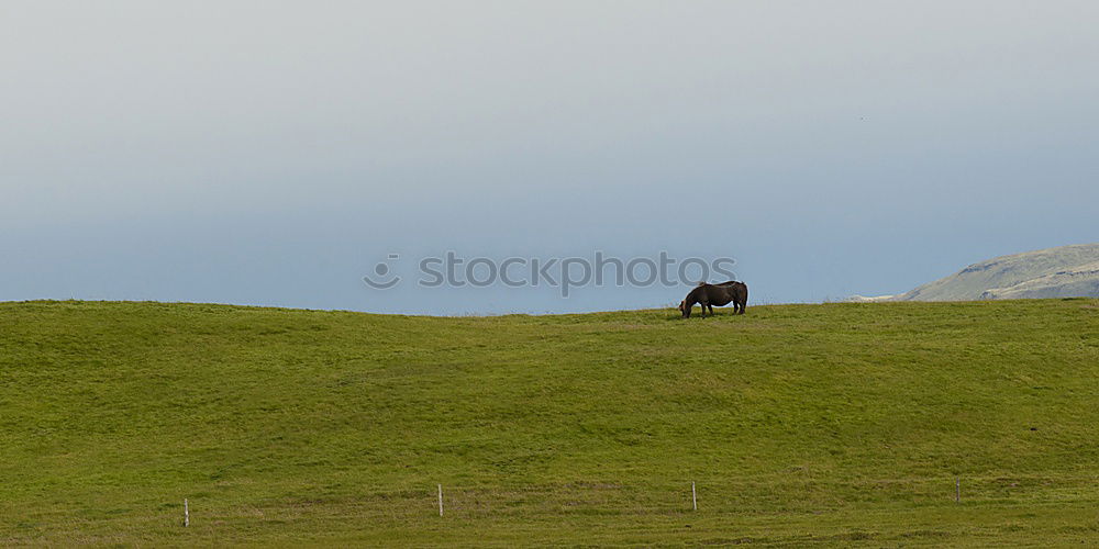 Similar – Iceland Environment Nature