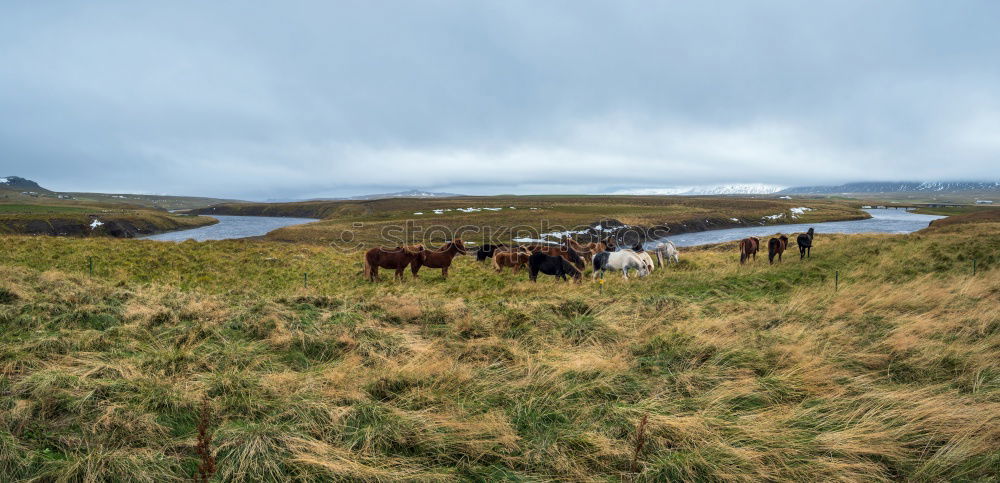 Similar – Image, Stock Photo Snaefellsnes Penninsula