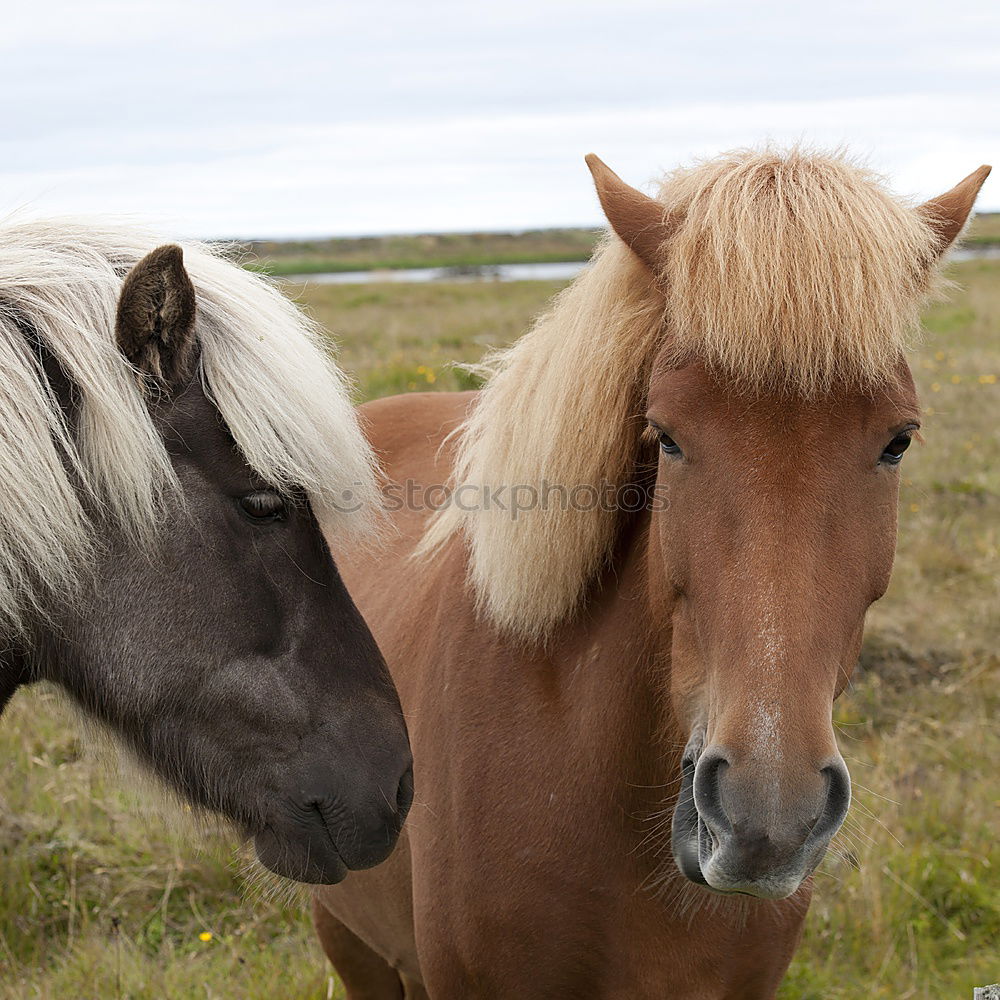 Similar – Image, Stock Photo If Somma were now …