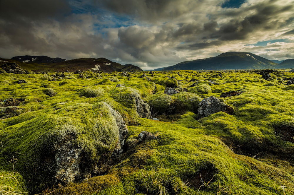 Similar – After the rain, moorland