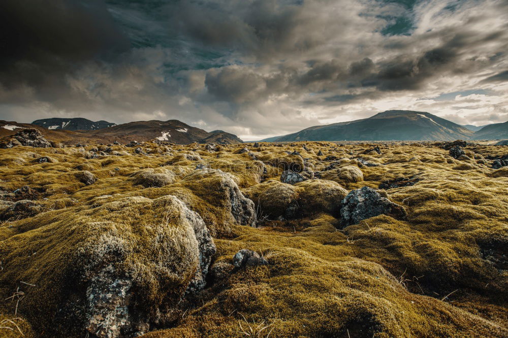 Similar – Image, Stock Photo Rural Landscape At Loch Eriboll Near Durness In Scotland