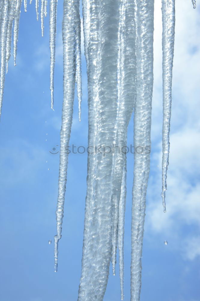 Similar – o’ zapft is II Eiszapfen