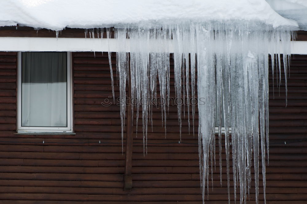 Image, Stock Photo thaw Winter February Cold