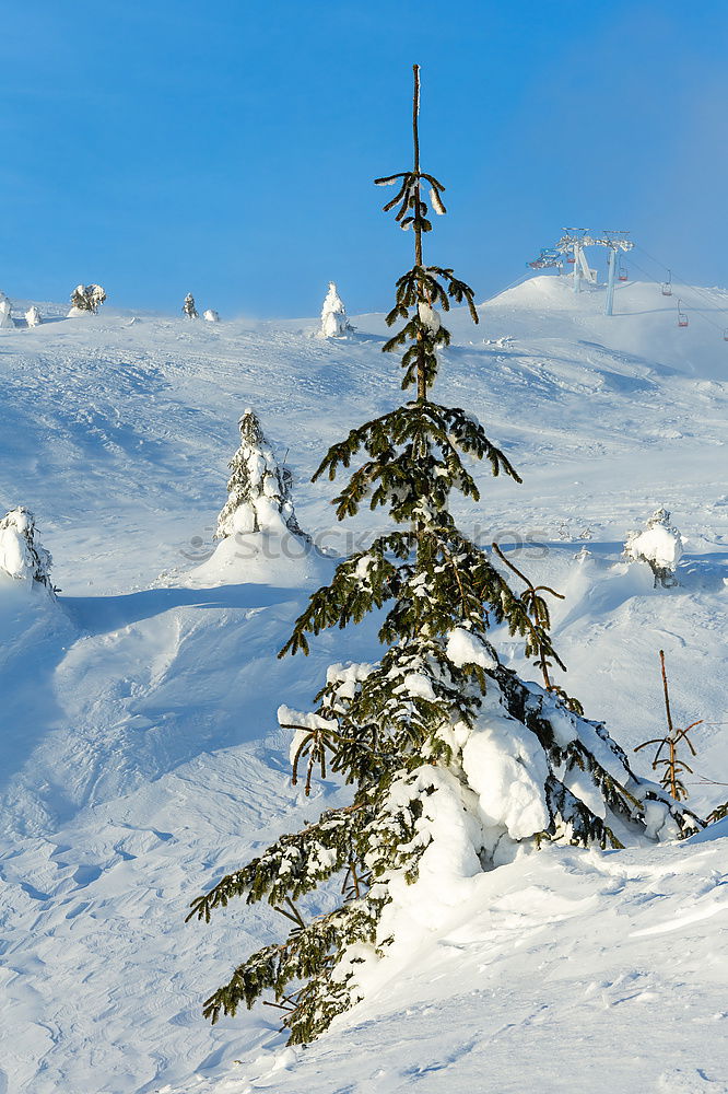 Similar – Image, Stock Photo On the piste Mountain