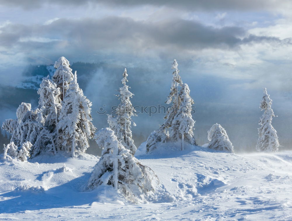 Image, Stock Photo Fairytale II Winter White