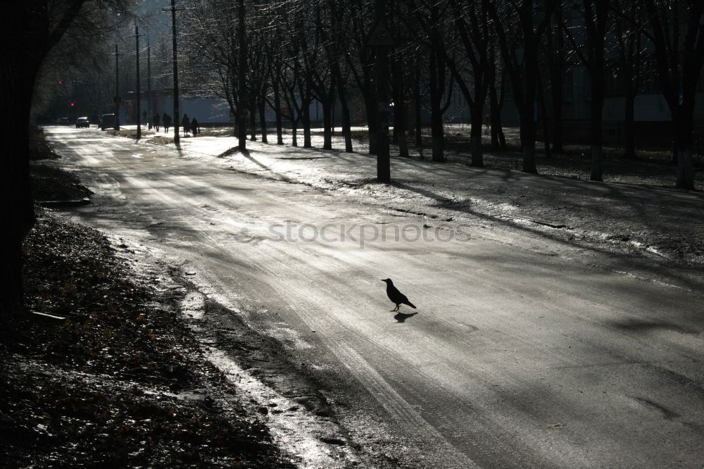 Similar – der adac empfiehlt schneeketten