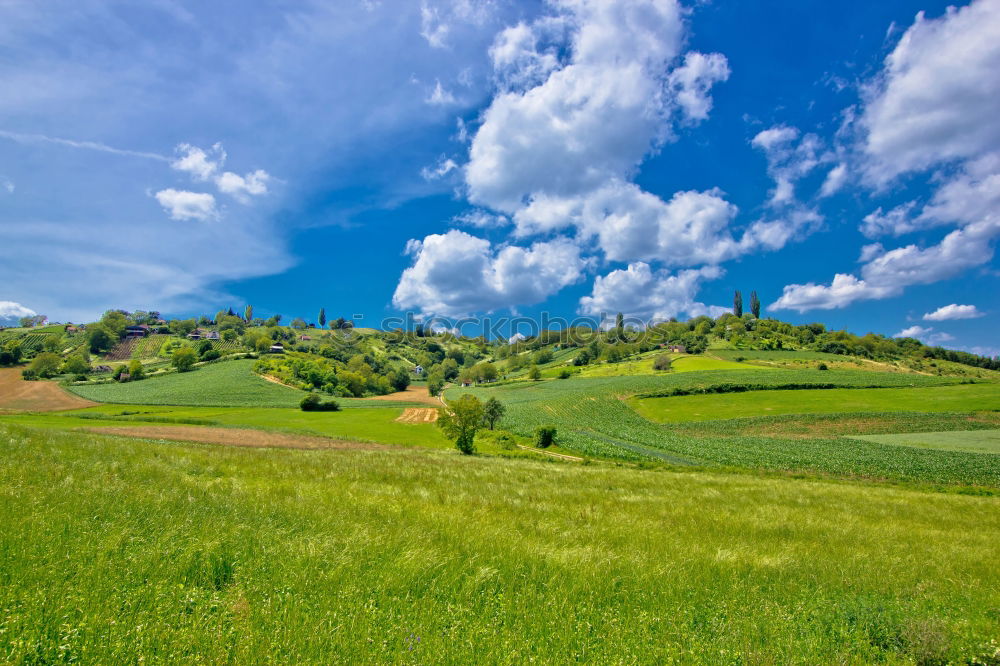 Similar – Image, Stock Photo in the Ländle Nature