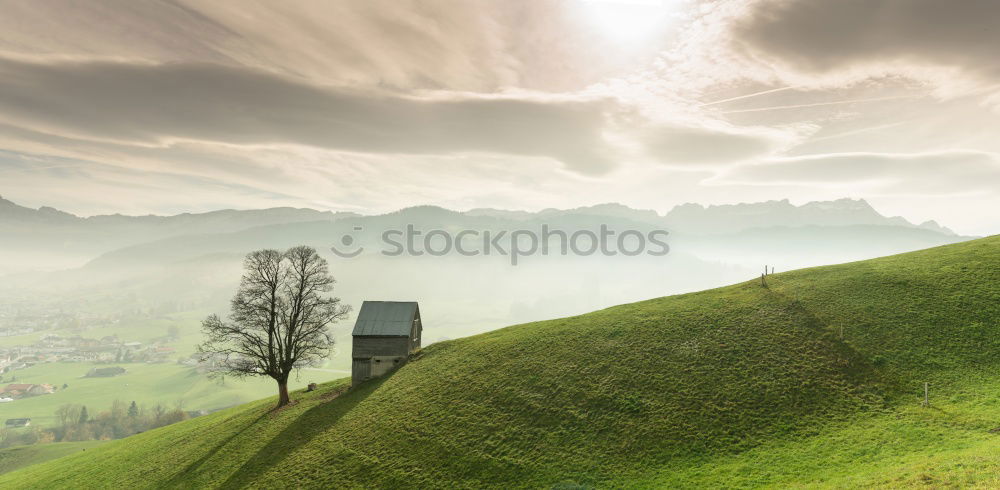 Similar – Schwarz im Schwarzwald