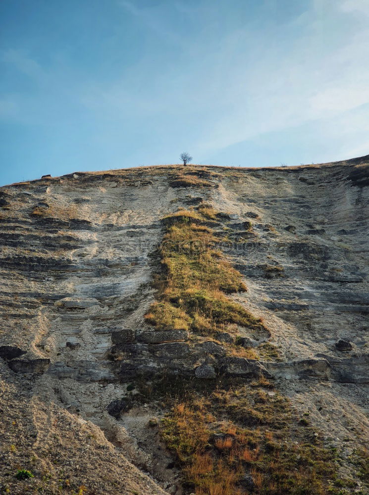 Similar – Image, Stock Photo Iceland Human being