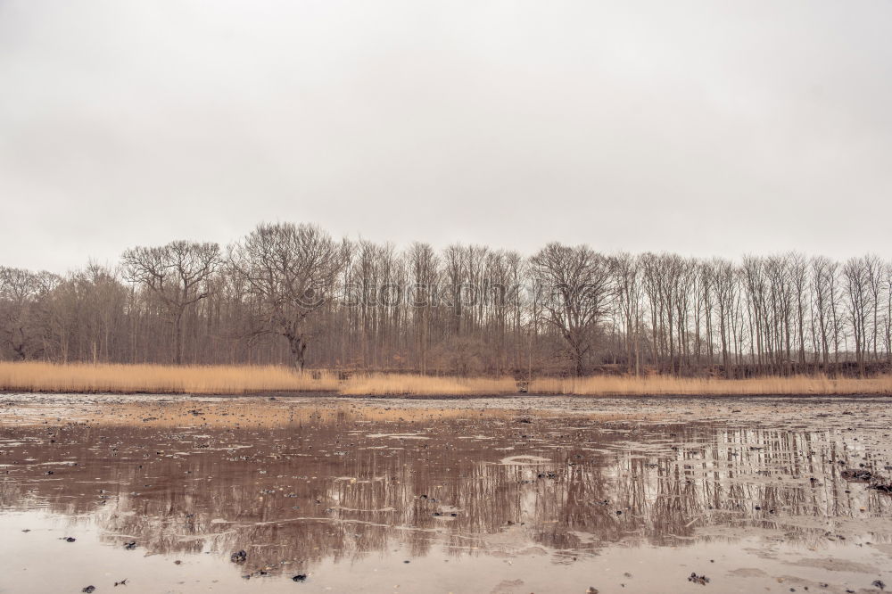 Similar – Foto Bild das frühjahrshochwasser