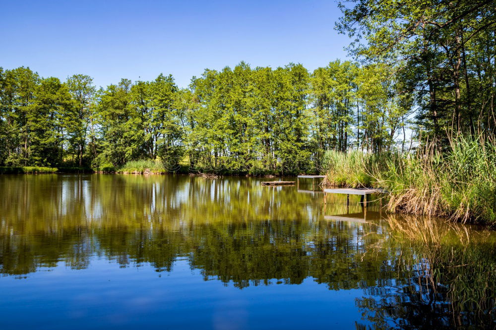 Similar – Image, Stock Photo green Idyll Paradise