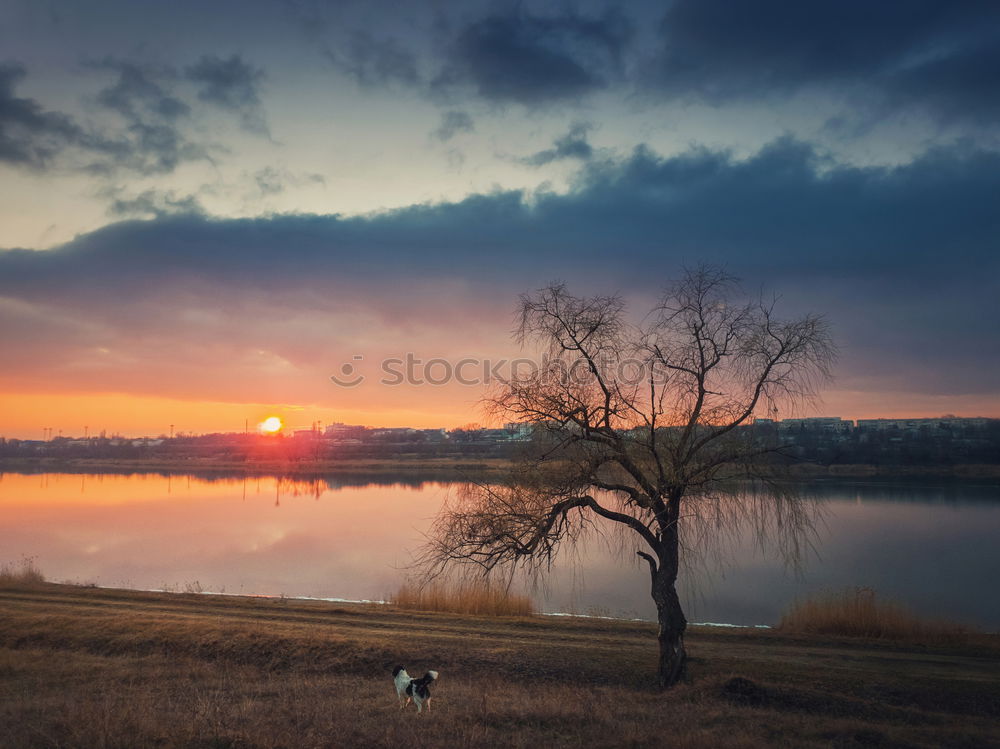 Similar – Evening at the lake