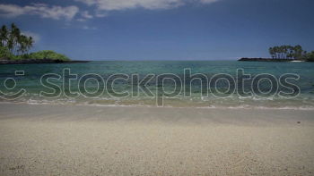 Similar – beach Beach Palm tree