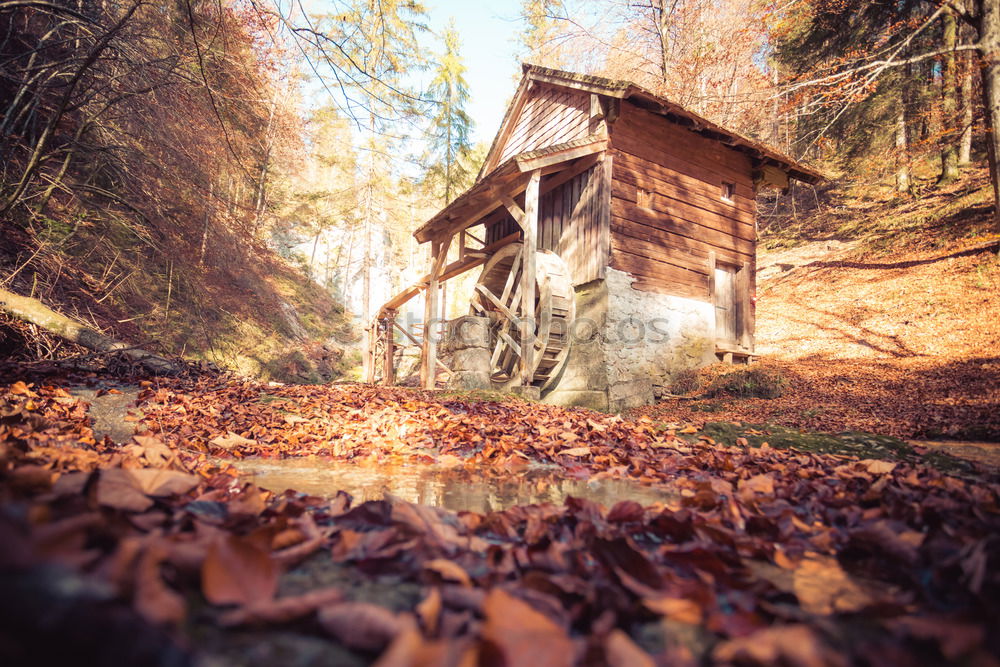 Similar – Image, Stock Photo Hunting lodge in the forest