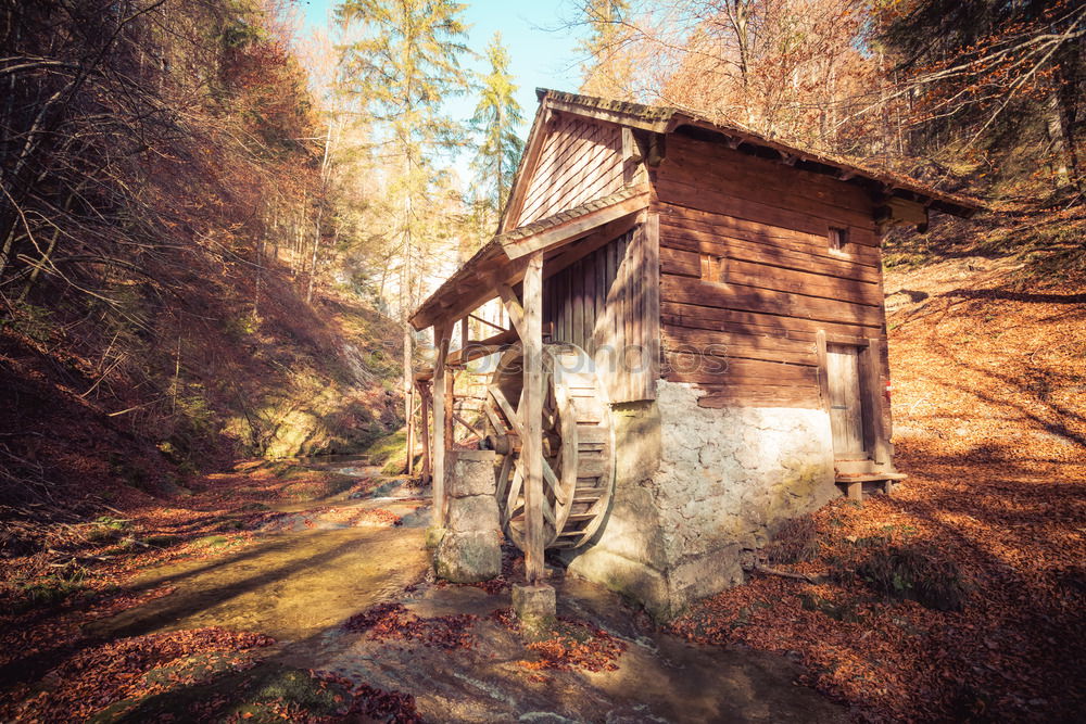 Similar – Image, Stock Photo Autumnal decay Hut