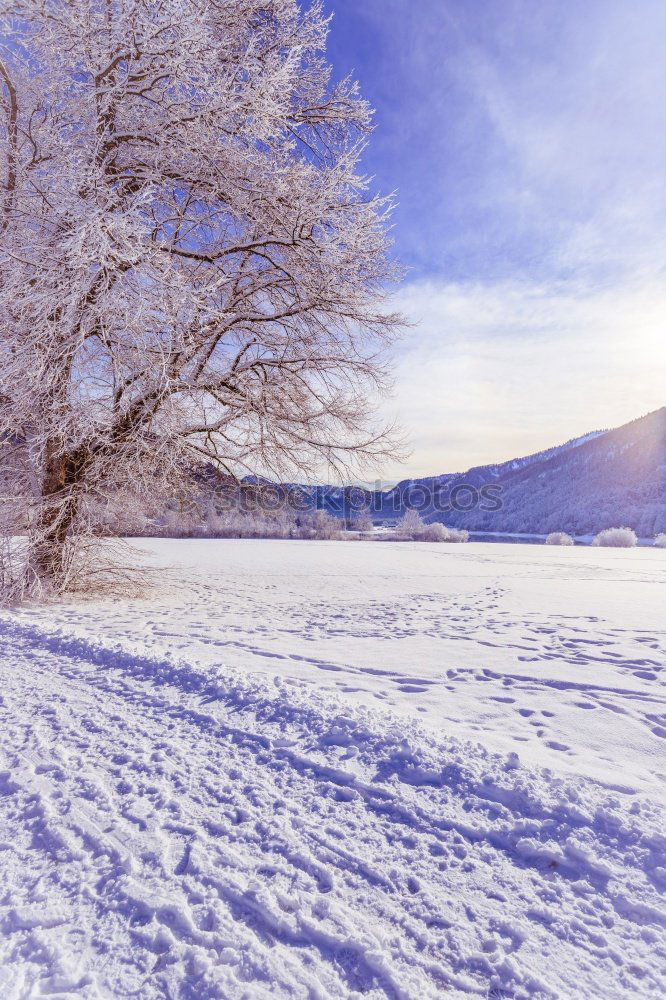 Similar – Image, Stock Photo Snow-covered winter landscape in the Black Forest