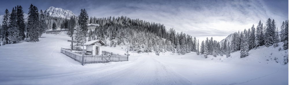 Similar – Image, Stock Photo winter hike in the northern Black Forest on a sunny day