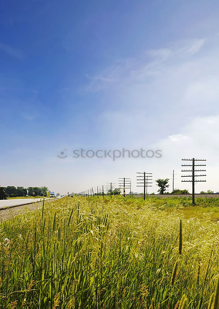 Similar – Image, Stock Photo HOME WAY Cycle path