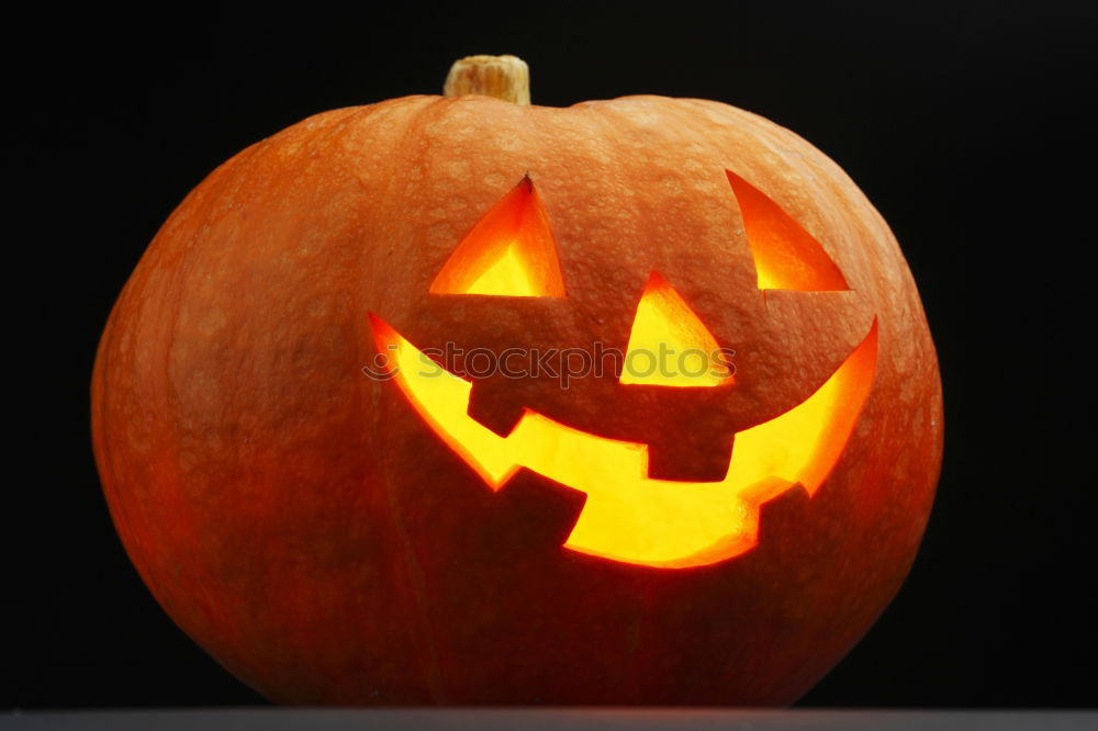 Similar – Halloween pumpkin on wooden table