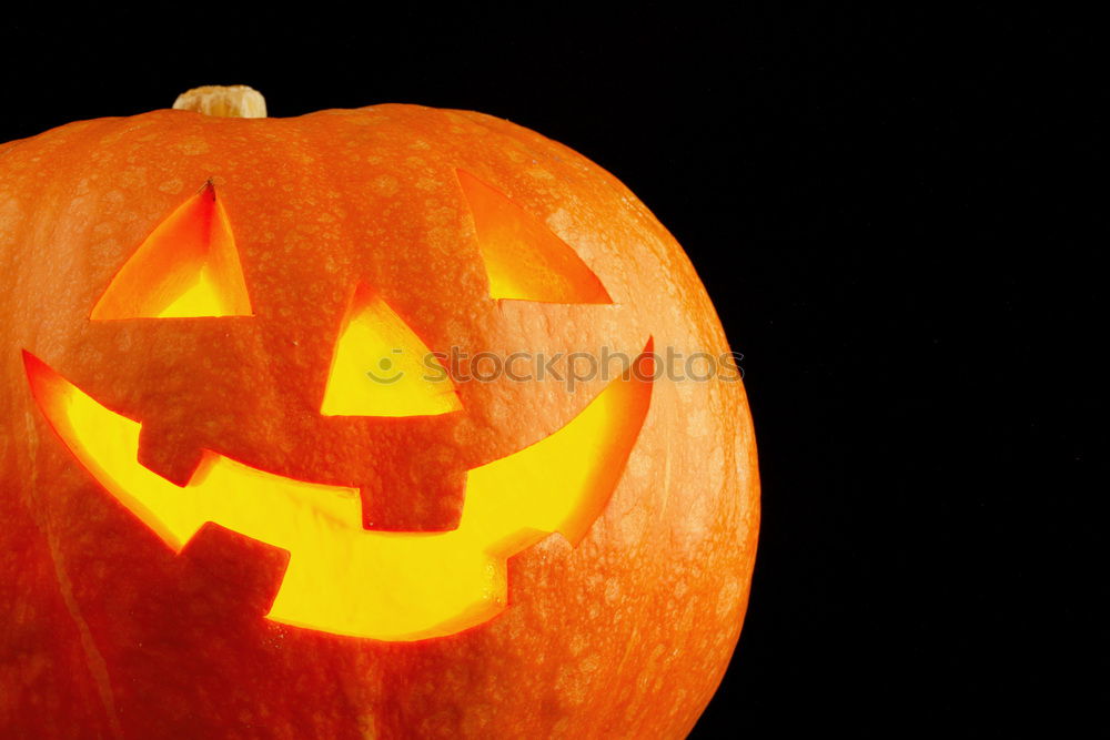 Similar – Image, Stock Photo Side view halloween pumpkin smile with fire burning eyes mouth