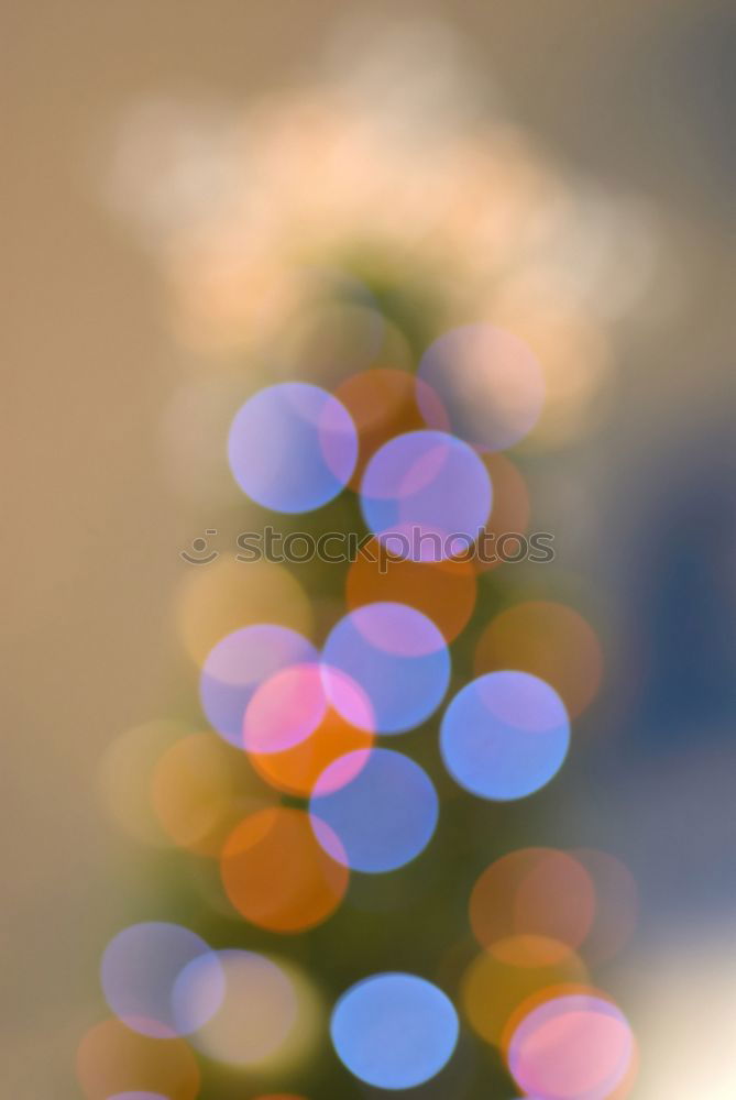 Similar – Image, Stock Photo Christmas tree
