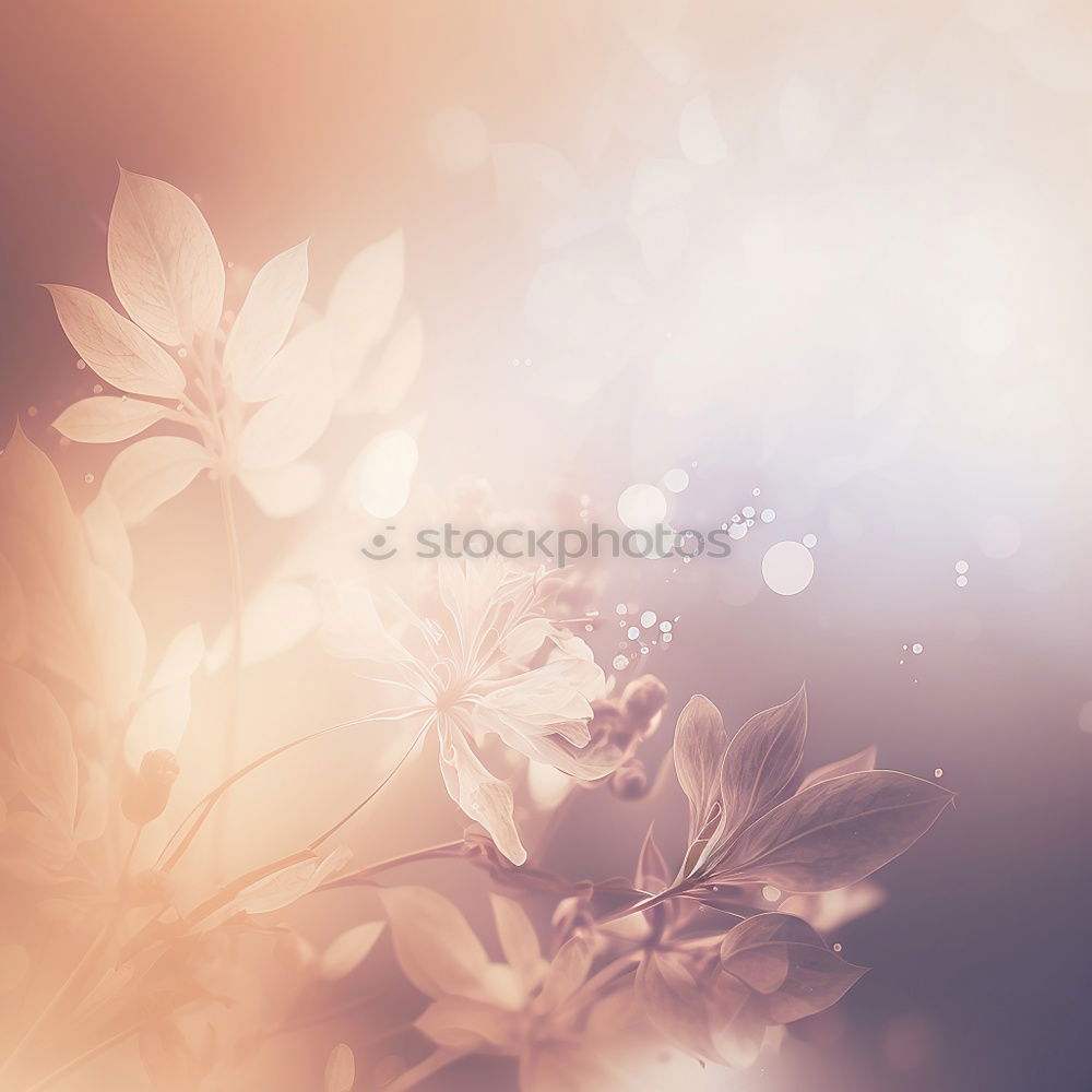 Similar – Image, Stock Photo a little flower for you