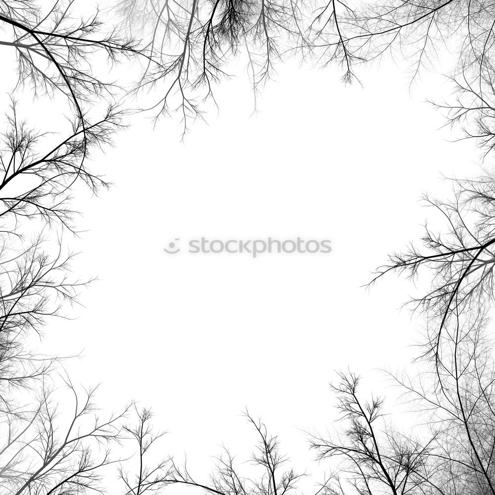 Similar – Image, Stock Photo Blocked sky Barbed wire