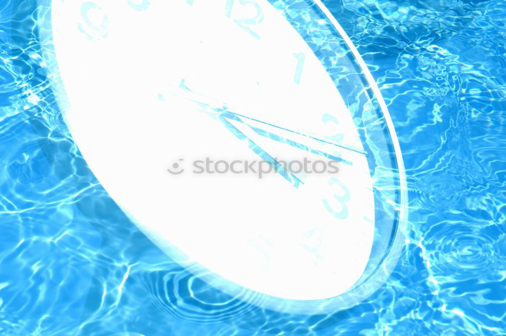Similar – Image, Stock Photo jellyfish Environment