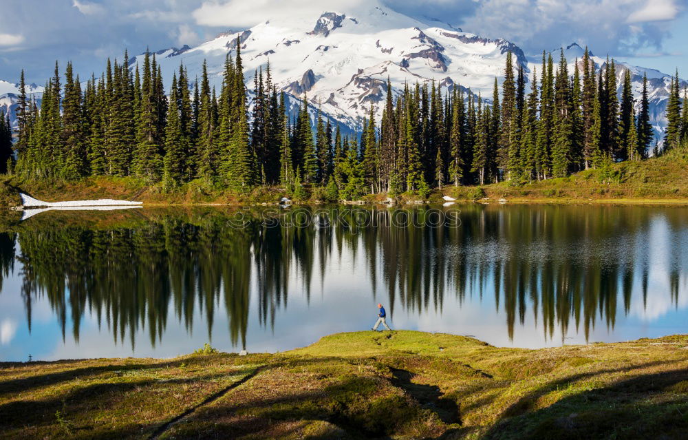Similar – Image, Stock Photo Summer Wildflowers on Paradise Ridge