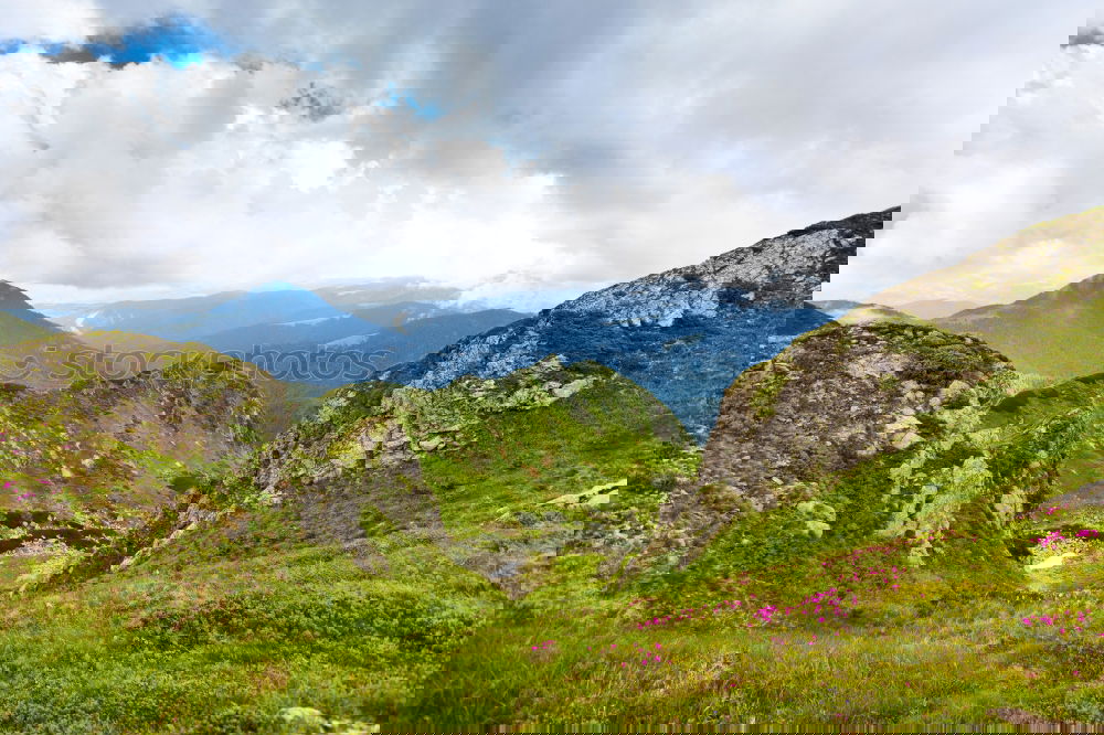 Similar – Image, Stock Photo Großglockner Pass in sunlight V