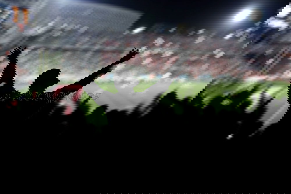 Similar – Image, Stock Photo Fans in the Laola stadium