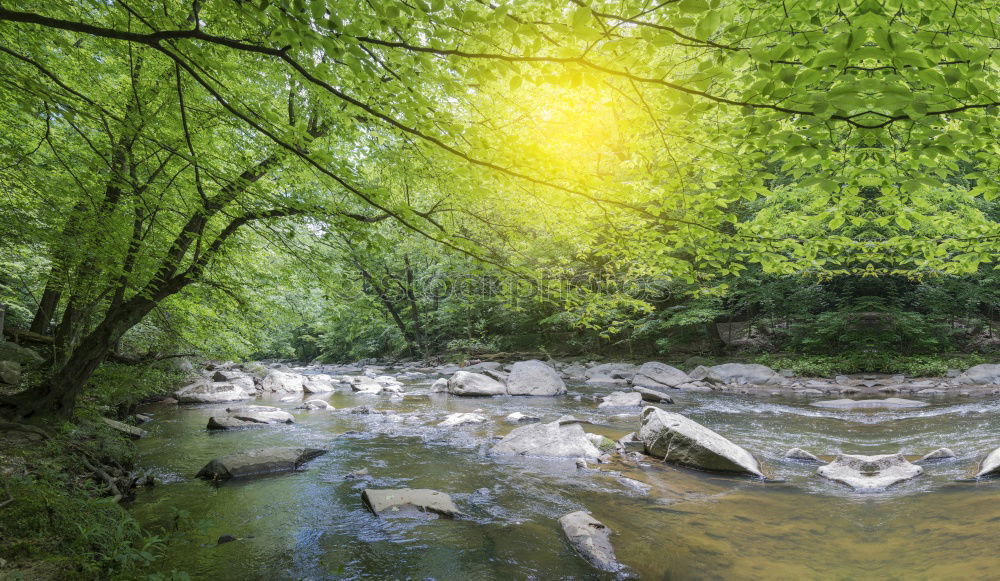 Similar – Image, Stock Photo Landscape in the Spreewald near Lübbenau