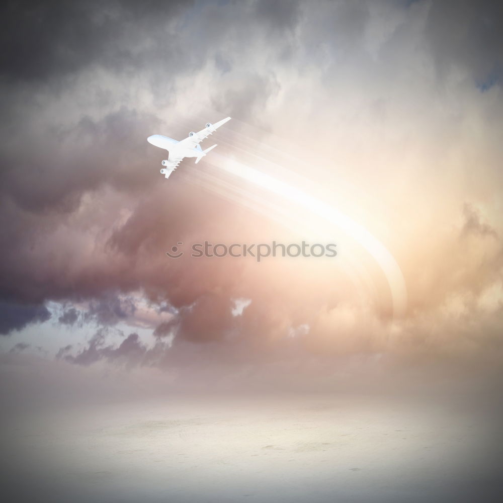 Similar – Image, Stock Photo Seagull in the light