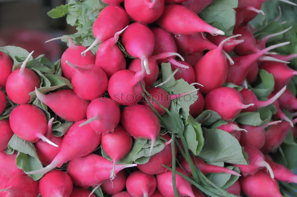 Similar – Image, Stock Photo rhubarb Rhubarb Red