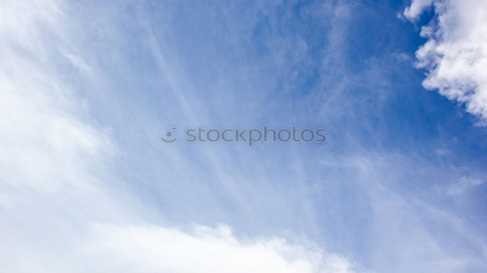 Similar – Image, Stock Photo smoke sign Bottle