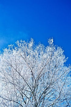 Similar – Image, Stock Photo Ice crystals 03 Winter