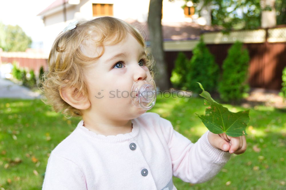 Similar – adorable boy watering the plants