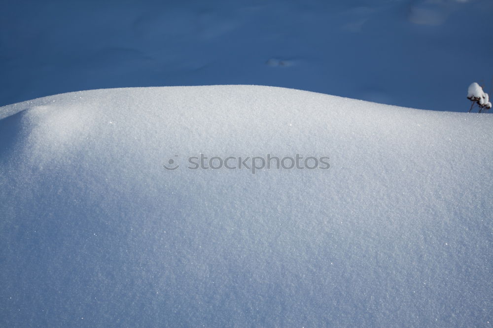 Similar – Image, Stock Photo Steve Podborski Snow